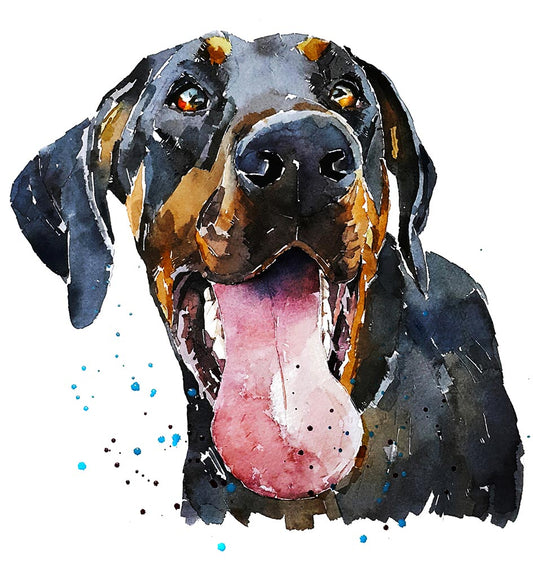 Doberman Smile | Dog Art Print | Edswatercolours
