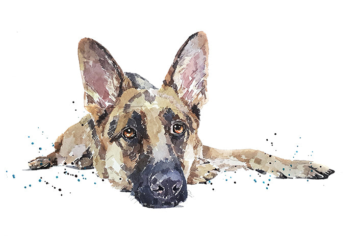 German Shepherd Passed Out " Print Watercolour.GSD Art, GSD Watercolour, German shepherd art print, German Shepherd Watercolor art