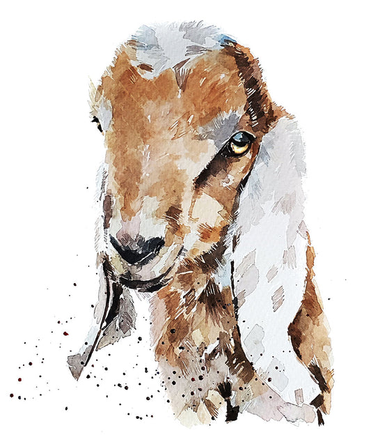 Nubian Goat | Goat Lover Art Print | Edswatercolours