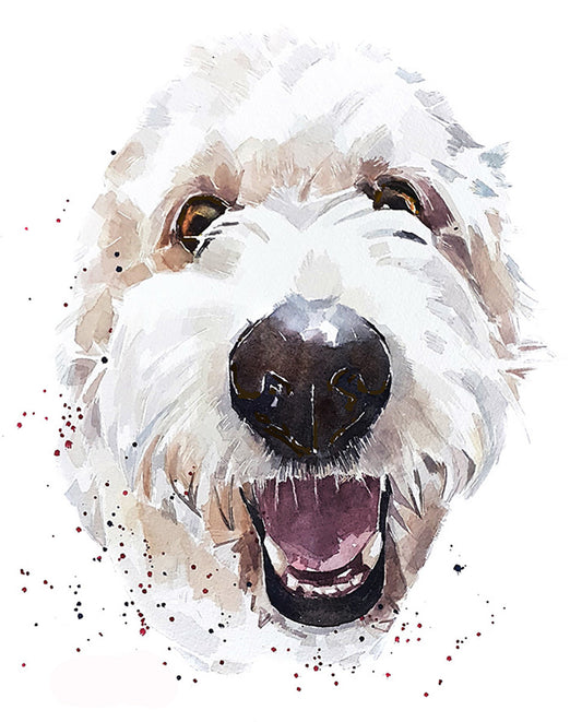 Goldendoodle | Dog Art Print | Edswatercolours