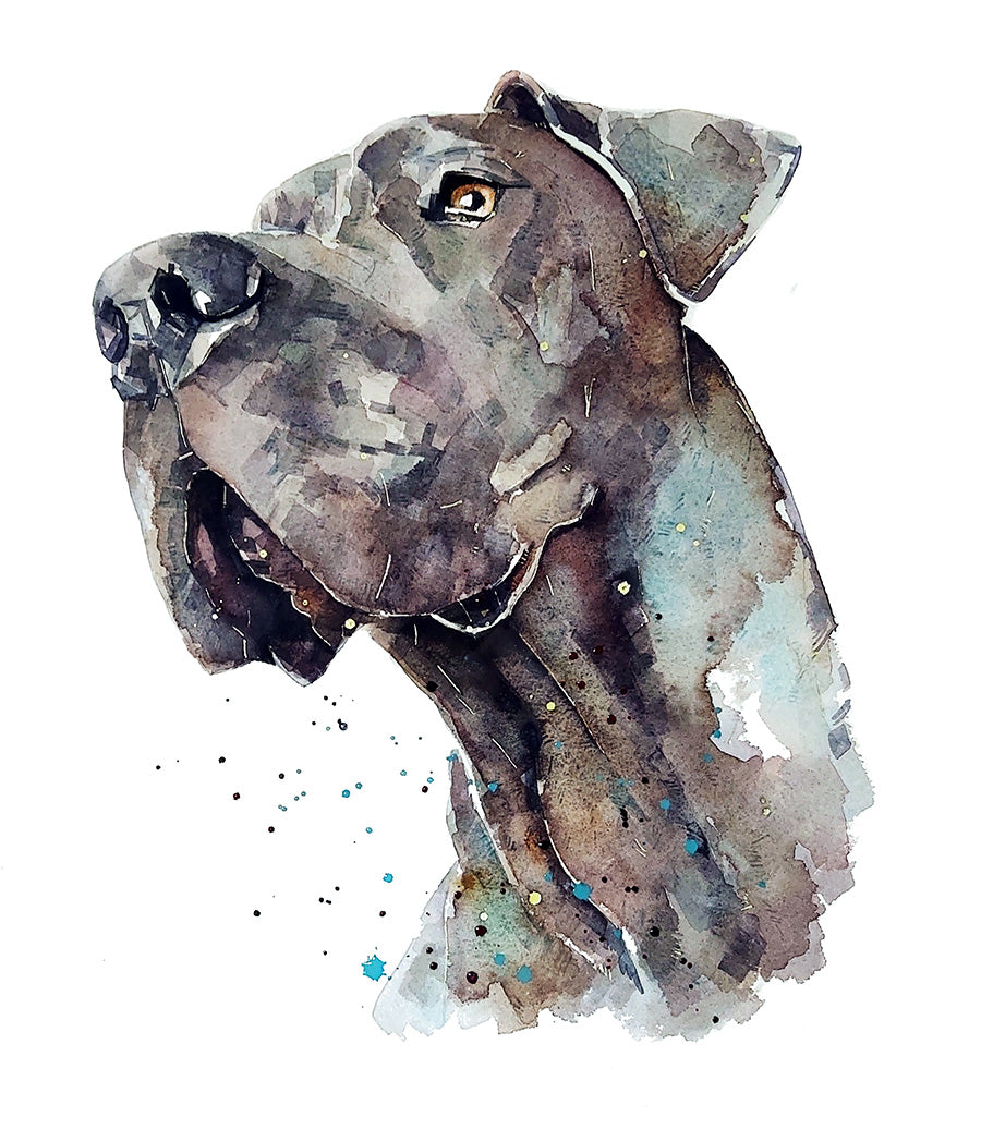 Great Dane | Original Watercolour | Dog Lover Gift | Edswatercolours