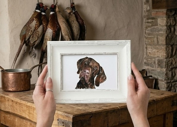 GSP Dog Mini Art Print | Framed Dog Art | Edswatercolours
