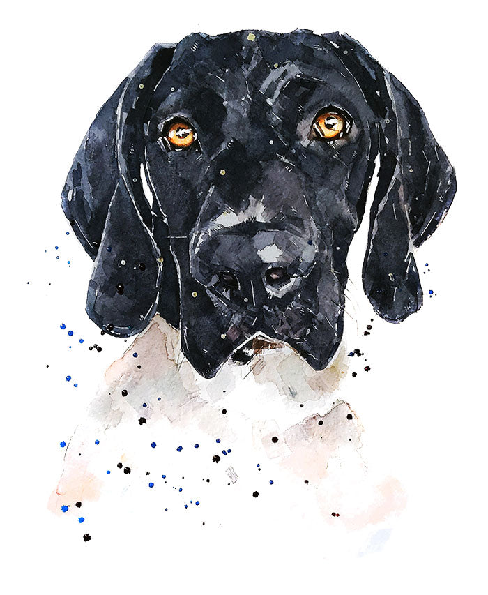 Black German Shorthaired Pointer | Dog Art Print | Edswatercolours