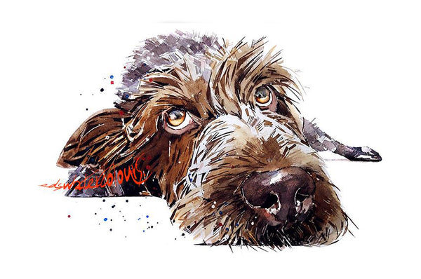 German Wirehaired Pointer RECLINED II" Print Watercolour.German Wirehaired Pointer art,German Wirehaired Pointer print,GWP wall art