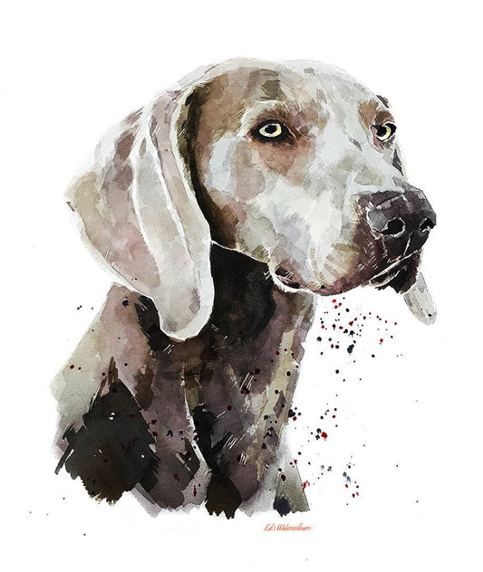 Weimaraner | Dog Art Print | Edswatercolours