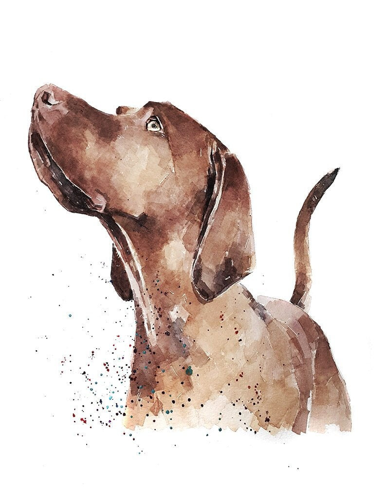 That Vizsla Look" Print Watercolour,Vizsla art,Vizsla print,Vizsla Watercolour,Vizsla Wall Decor, Vizsla Wall Hanging,Dog Art Print.