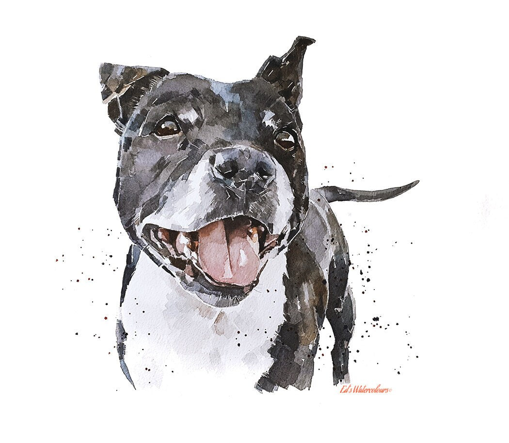 Staffordshire Bull Terrier SMILE -  Watercolour  Print
