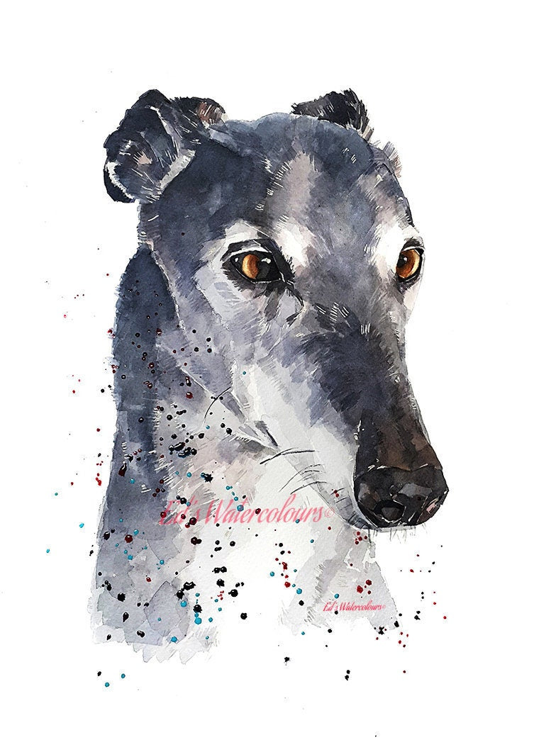 Balance and Poise." Print Watercolour.whippet art,whippet print,whippet watercolour,whippet  wall art,whippet home decor,whippet art decor