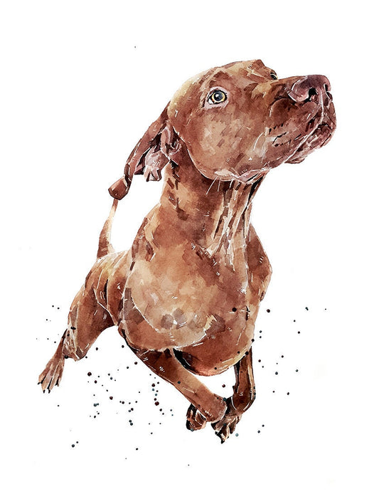 Vizsla - What's cooking?" Print Watercolour.Vizsla art,Vizsla print,Vizsla Watercolour,Vizsla Wall Decor, Vizsla Wall Hanging,Dog Art Print.