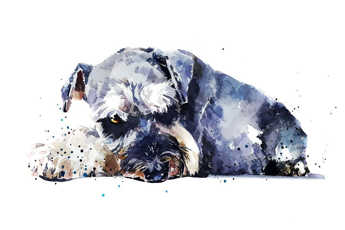 Schnauzer Portrait | Dog Art Print | Edswatercolours