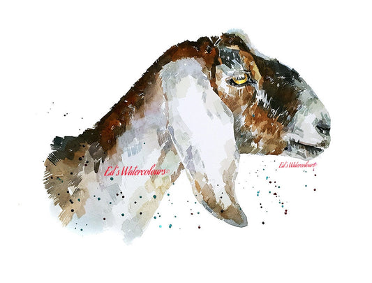 Nubian Goat Head Study "Print Watercolour.Goat Art,Goat art print,Goat watercolour,Goat wall decor,Goat wall art,Goat art gift,Goat painting