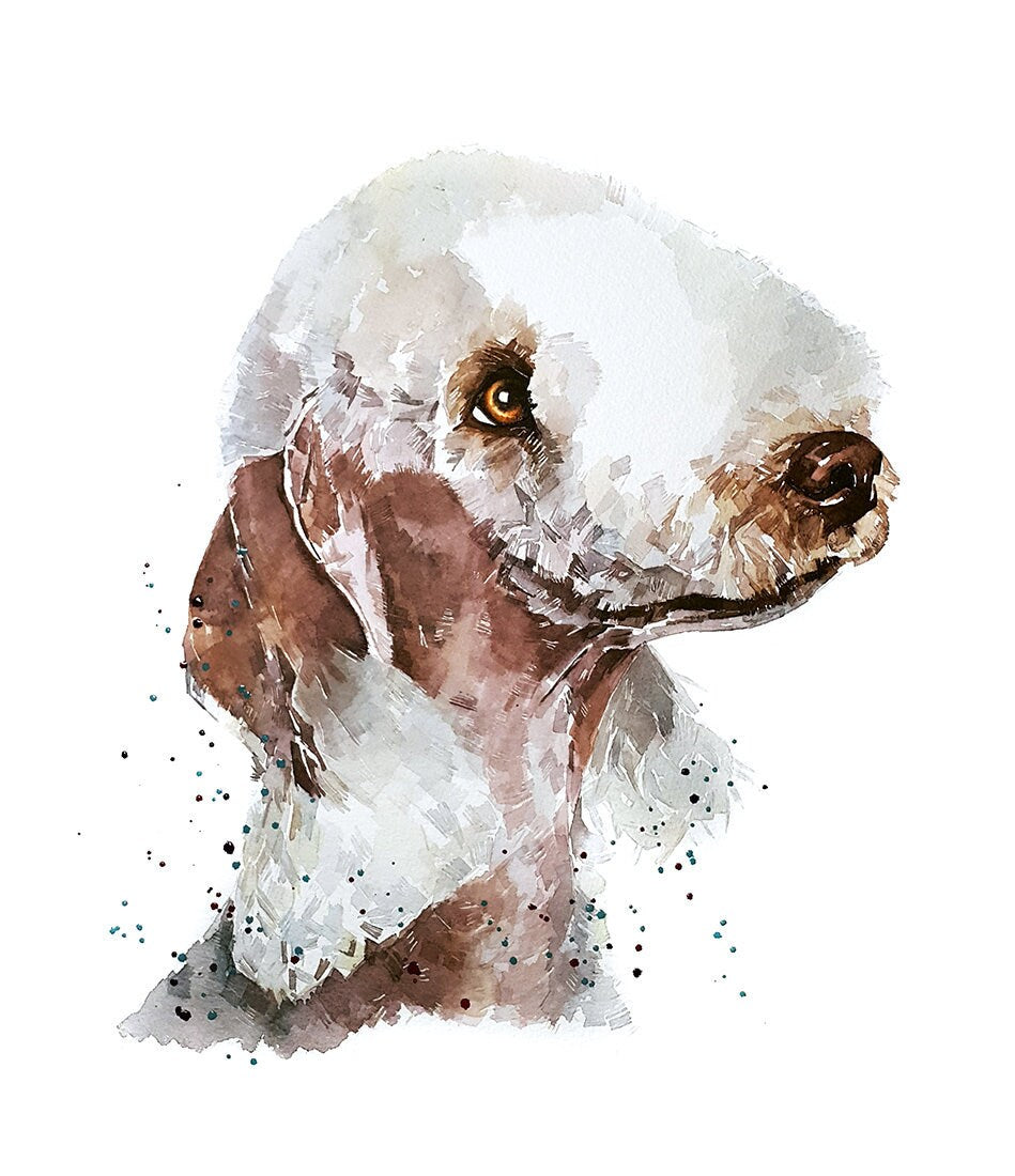 Bedlington Terrier | Original Watercolour | Dog Lover Gift | Edswatercolours