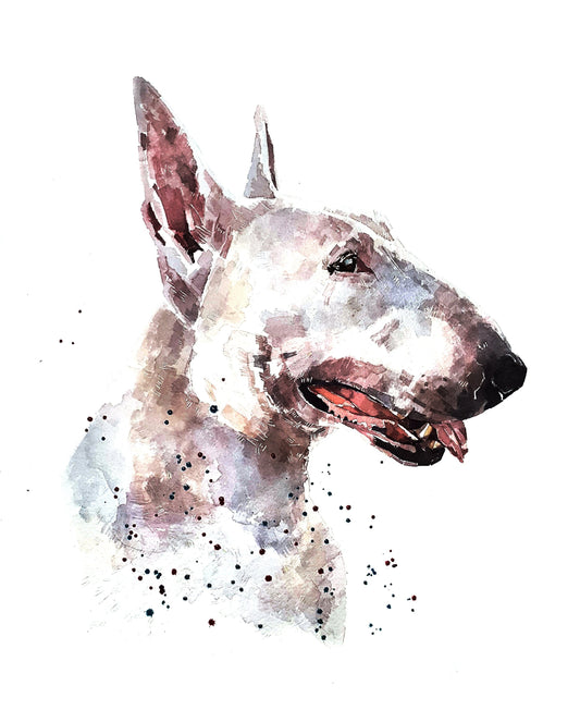 Bull Terrier White" Print Watercolour.Bull Terrier art,Bull Terrier print,Bull Terrier watercolour,Bull Terrier wall art