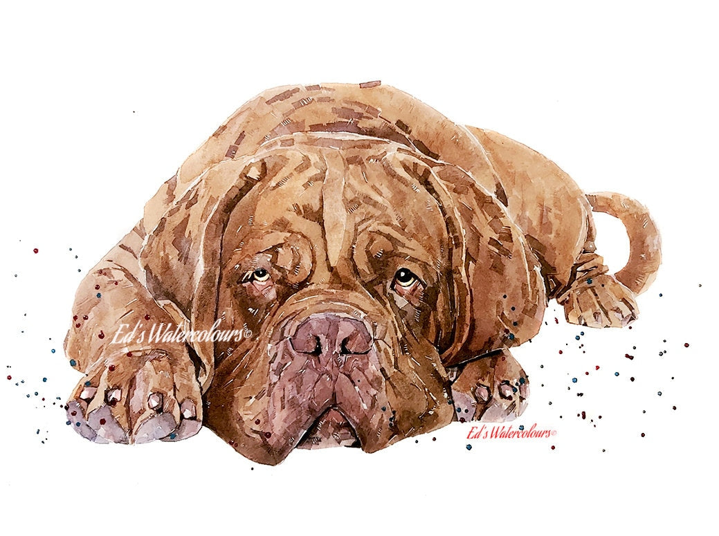 Too Cool for Drool" – Dogue de Bordeaux Watercolour Print | Framed, Unframed, or Canvas | Lazy Dog Art with Big Chill Energy