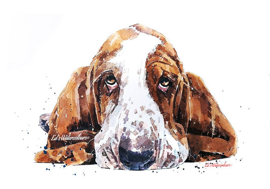 Basset Hound " Print Watercolour,Basset Hound art,Basset Hound print, Basset Hound watercolour