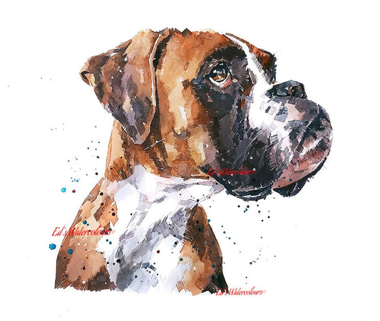 Fawn Boxer Dog-The Thinker - Boxer dog Print,Boxer dog Watercolour,boxer dog art,Boxer dog decor