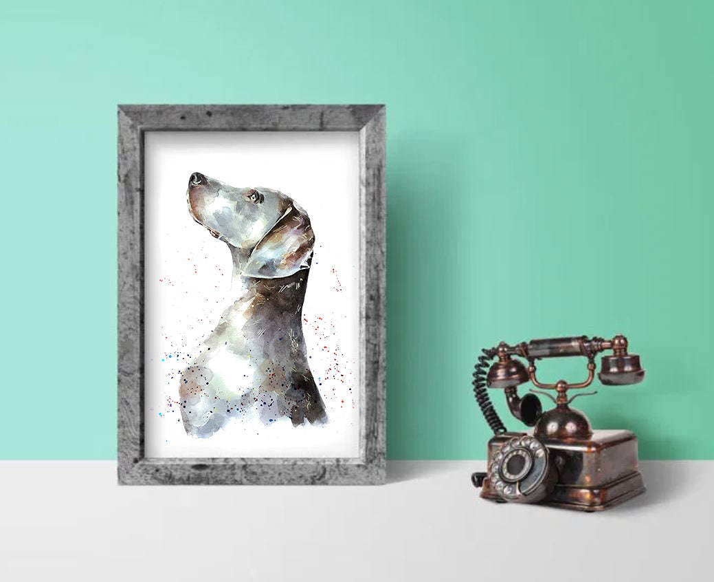 That Weimaraner Look" Print Watercolour.Weimaraner watercolor, Weimaraner Art, Weimaraner Wall hanging, Weimaraner Print, Dog art print