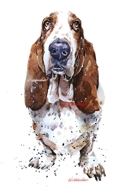 Basset Hound 2 " Print Watercolour,Basset Hound art,Basset Hound print, Basset Hound watercolour