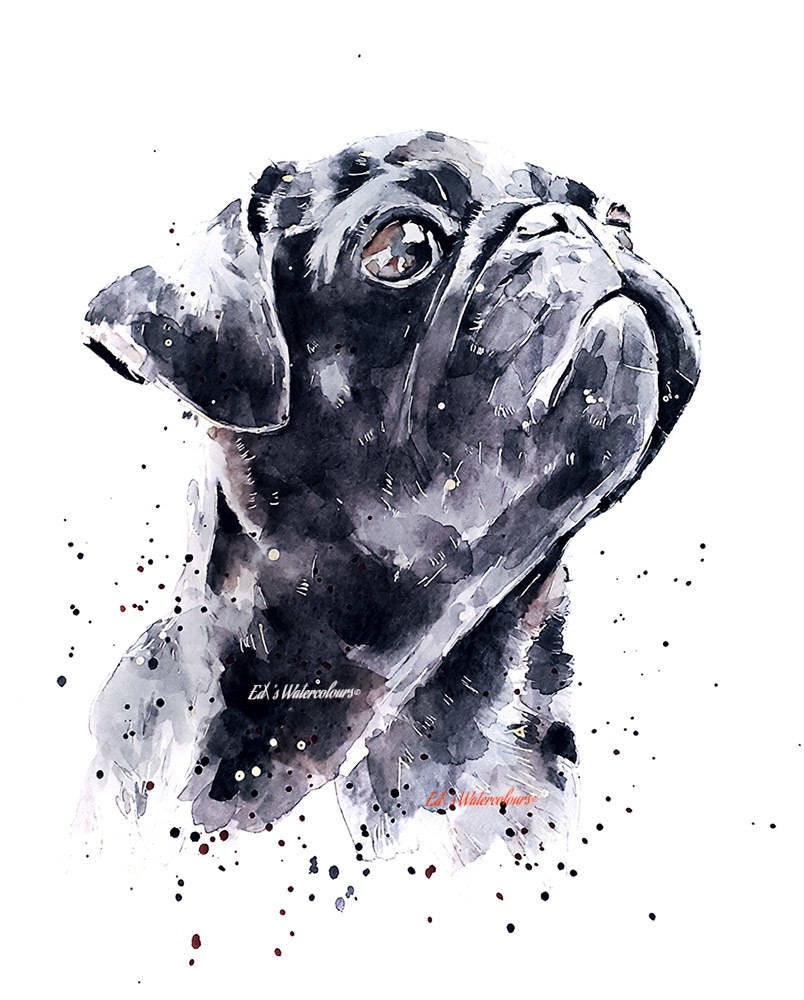 Pug Passion" Print Watercolour.Pug art,Pug watercolour art, Pug watercolour print, Pug wall art,Pug wall hanging