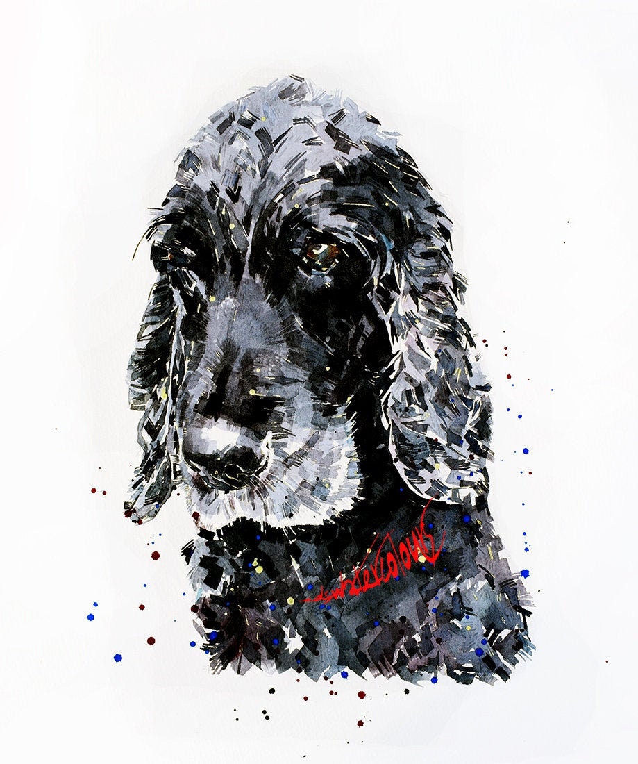 Black Cocker Spaniel " Print Watercolour. Cocker Spaniel art,Cocker Spaniel watercolour,Cocker Spaniel watercolor,Cocker Spaniel art print