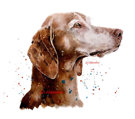 Vizsla - Sugar Face"  Print Watercolour. Vizsla art,Vizsla print,Vizsla Watercolour,Vizsla Wall Decor, Vizsla Wall Hanging.