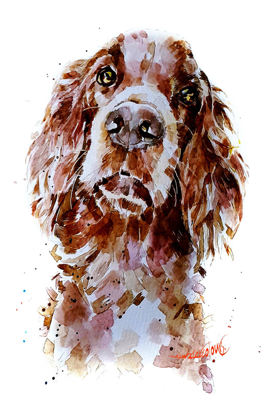 Red Setter" Print Watercolour. Irish Setter Watercolour,Irish Setter print,Irish Setter art,Red Setter print,Red Setter art,Red Setter decor