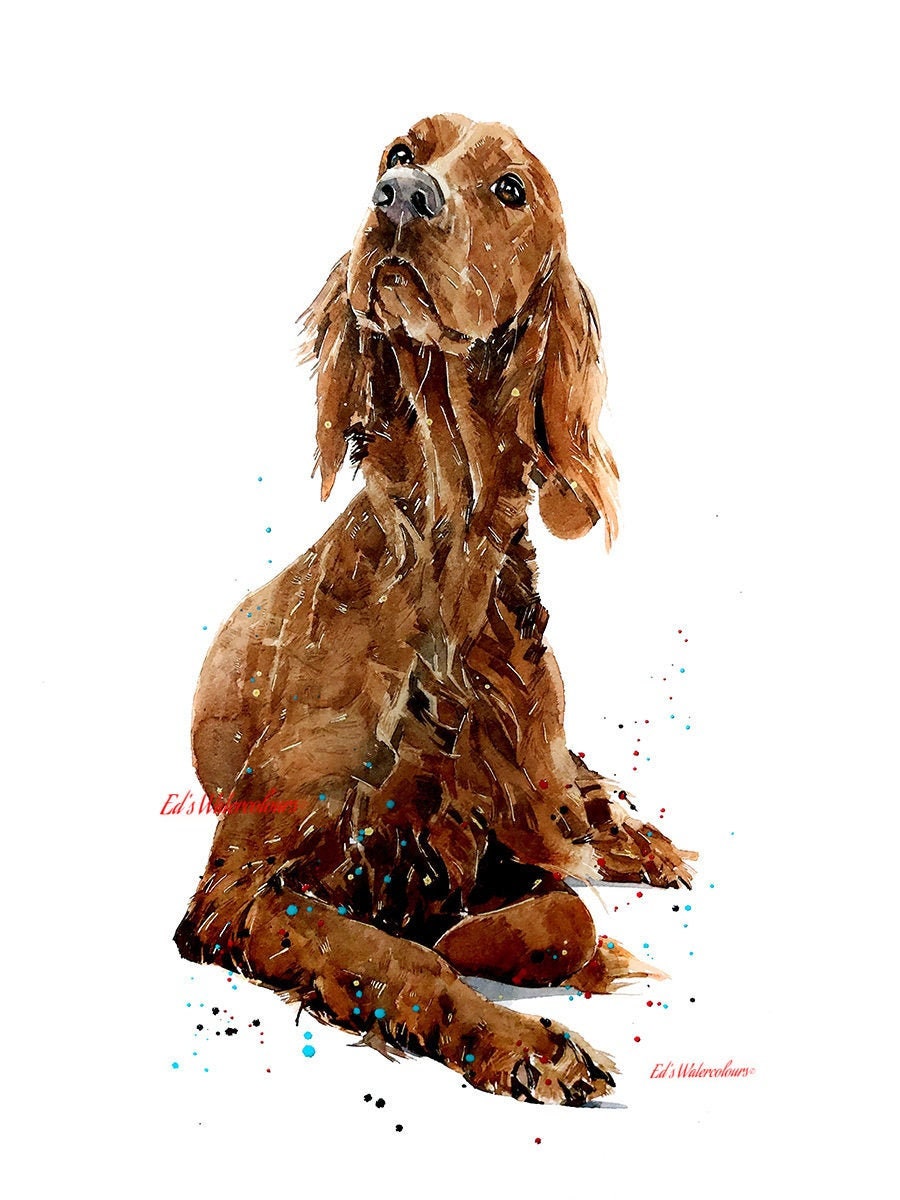 Red Setter II" Print Watercolour. Irish Setter Watercolour,Irish Setter print,Irish Setter art,Red Setter print,Red Setter art.