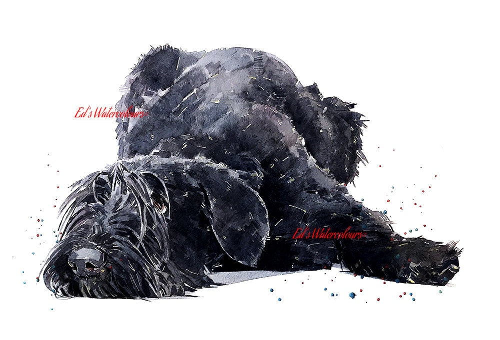 Giant Schnauzer Watercolour Print, Dog Art