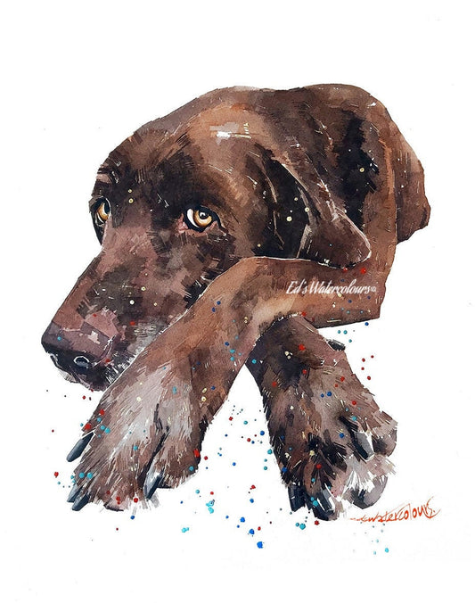 Chocolate Labrador Reclined  "  Print Watercolour. Labrador art, Labrador watercolor, Labrador wall art, Labrador painting