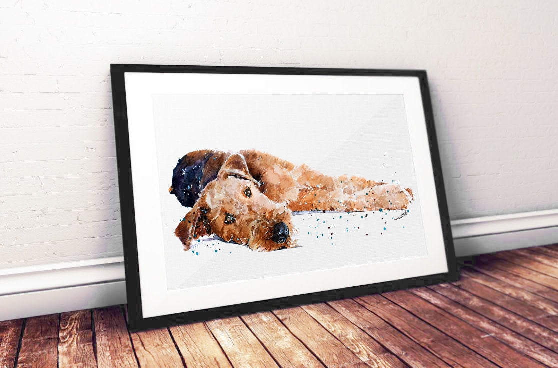 Airedale Sound Awake 2 - Watercolour Print.Airedale Terrier,Airedale Terrier art,Airedale Terrier print,Airedale Terrier watercolour