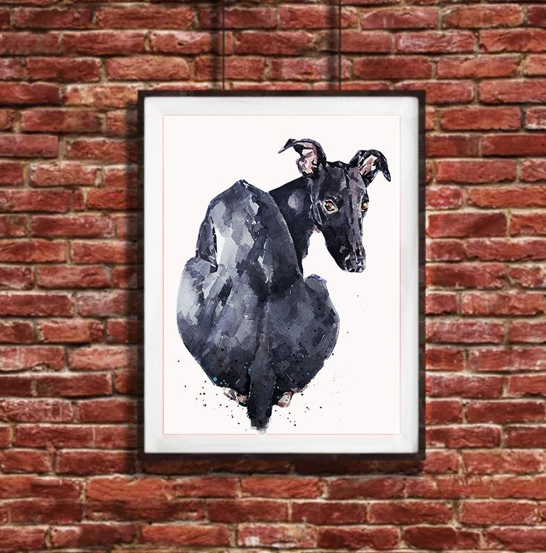 Looking Back ." Print Watercolour.whippet art,whippet print,whippet watercolor,whippet  wall art,whippet art decor