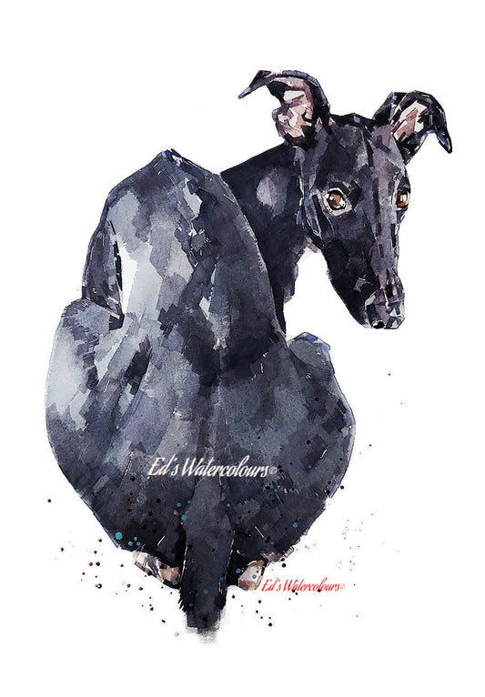 Looking Back ." Print Watercolour.whippet art,whippet print,whippet watercolor,whippet  wall art,whippet art decor