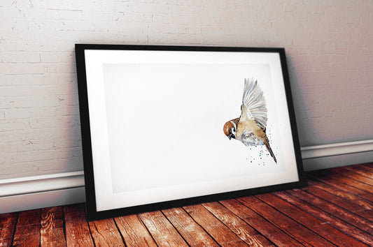 House Sparrow III Watercolour Art Print | Bird Lover Gift | Edswatercolours