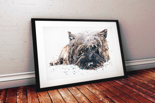 Cairn Terrier Passed Out " Print Watercolour. Cairn Terrier art,Cairn Terrier print,Cairn Terrier watercolour print.Cairn Terrier dog art