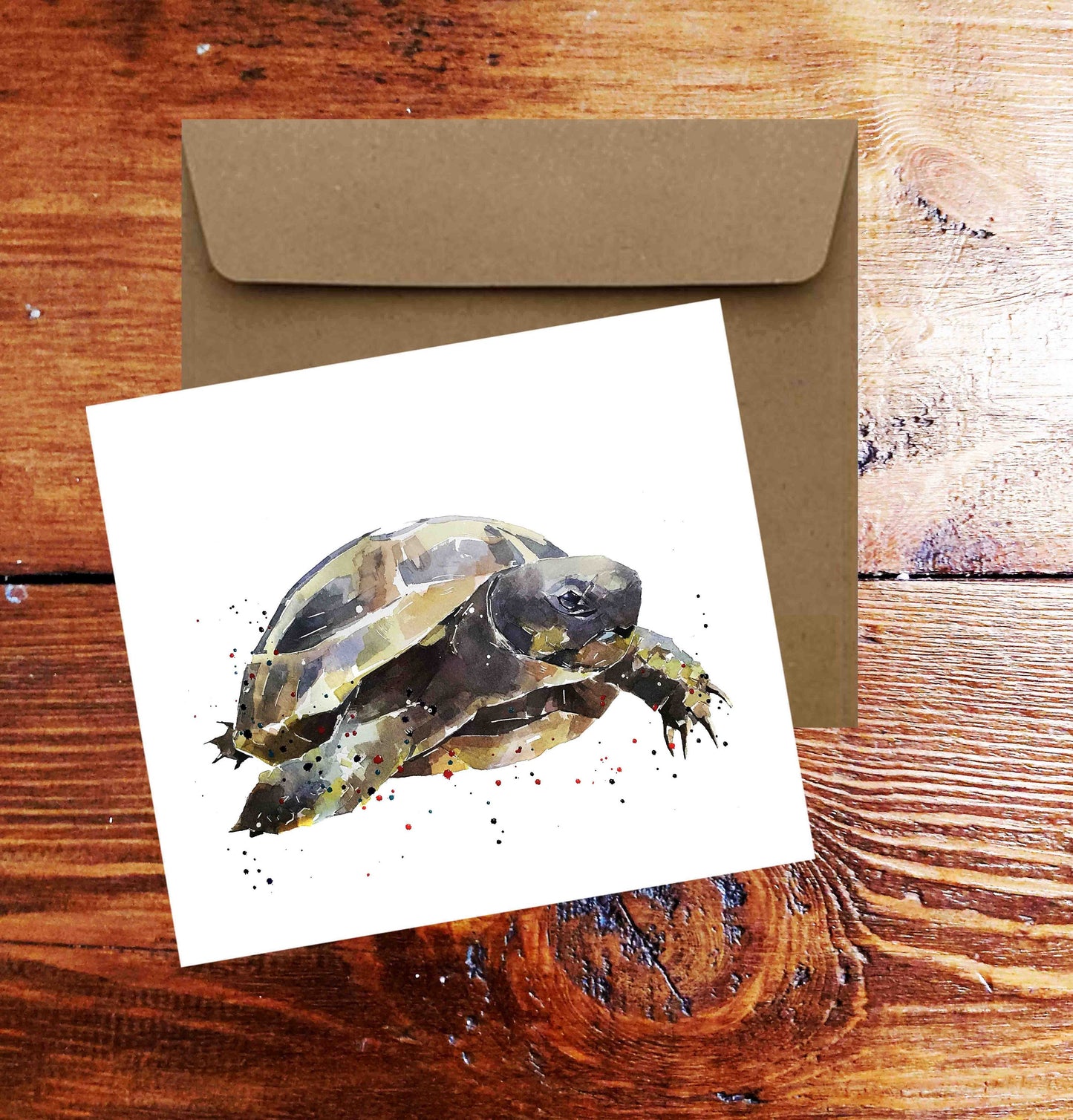 Hermann's Tortoise Greeting Card | Wildlife Gift | Edswatercolours