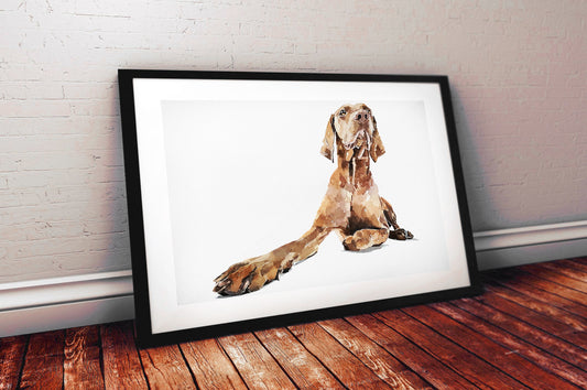 Vizsla Regal 2| Dog Art Print | Edswatercolours