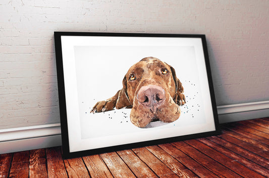 Vizsla Passed Out" Print Watercolour.Vizsla art,Vizsla print,Vizsla Watercolour,Vizsla Wall Decor, Vizsla Wall Hanging,Dog Art Print.