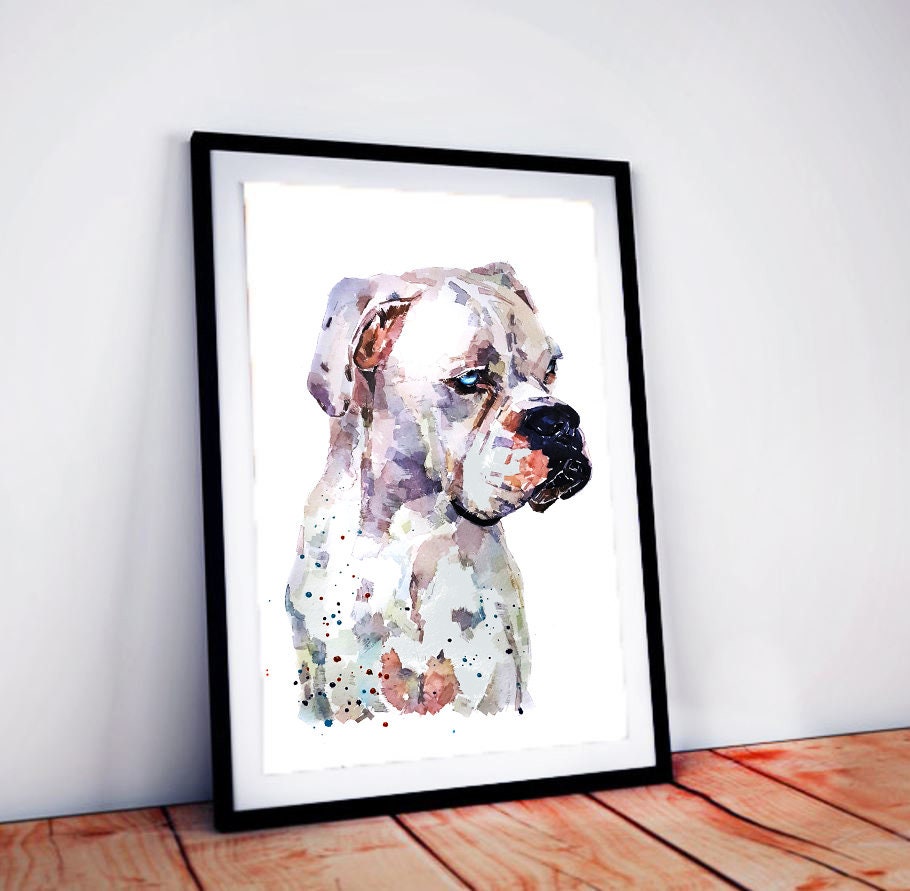 White Boxer Dog -I see right through you -   Print Watercolour,Boxer dog Print,Boxer dog Watercolour,boxer dog art,Boxer dog decor