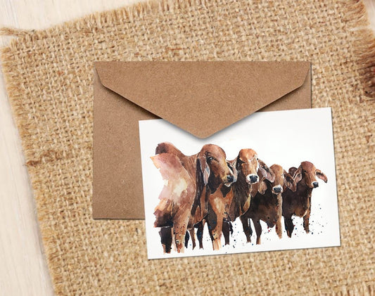 Red Brahman Cattle Greeting Card | Country Animal Gift | Edswatercolours