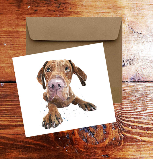 Vizsla Dog Puppy Square Greetings Card – Eddie Kagimu Design