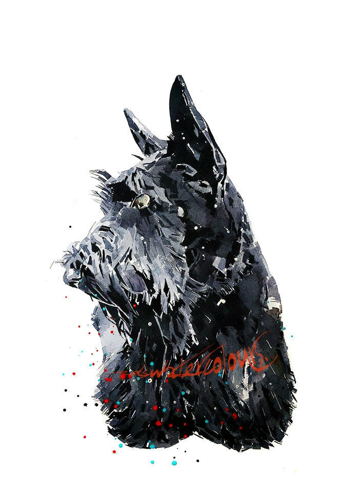 Scottish Terrier " Print Watercolour. Scottish Terrier art,Scottish Terrier print,Scottish Terrier watercolour,Scottish Terrier wall art