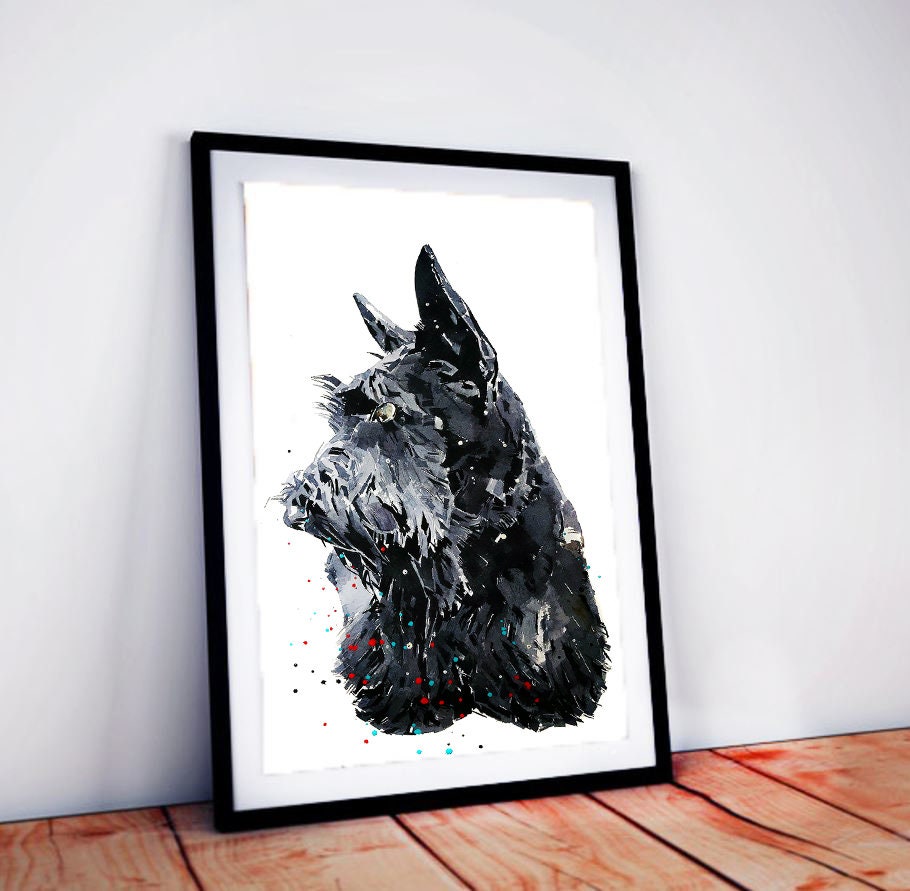 Scottish Terrier " Print Watercolour. Scottish Terrier art,Scottish Terrier print,Scottish Terrier watercolour,Scottish Terrier wall art