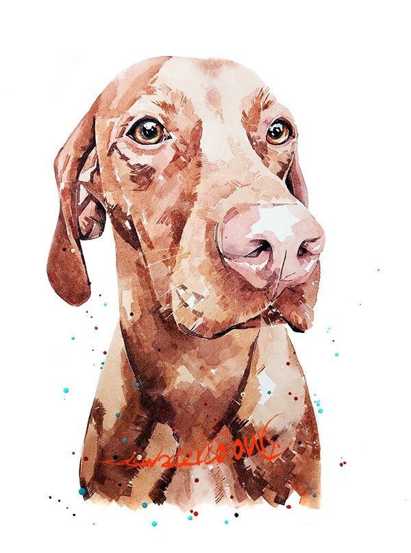 Vizsla Majestic." Print Watercolour.Vizsla art,Vizsla print,Vizsla Watercolour,Vizsla Wall Decor, Vizsla Wall Hanging,Dog Art Print.