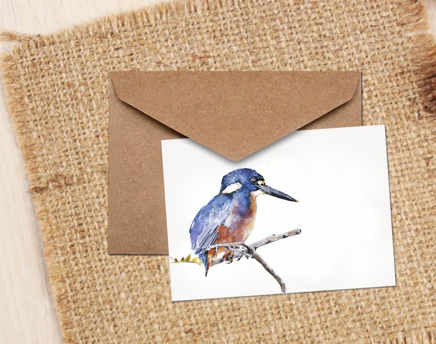 Kingfisher Greeting Card | Wildlife Gift | Edswatercolours