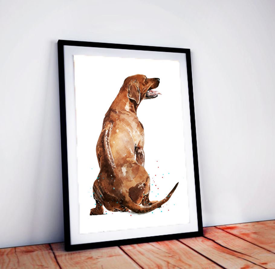 Rhodesian Ridgeback | Original Watercolour | Dog Lover Gift | Edswatercolours
