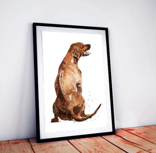 Rhodesian Ridgeback | Original Watercolour | Dog Lover Gift | Edswatercolours