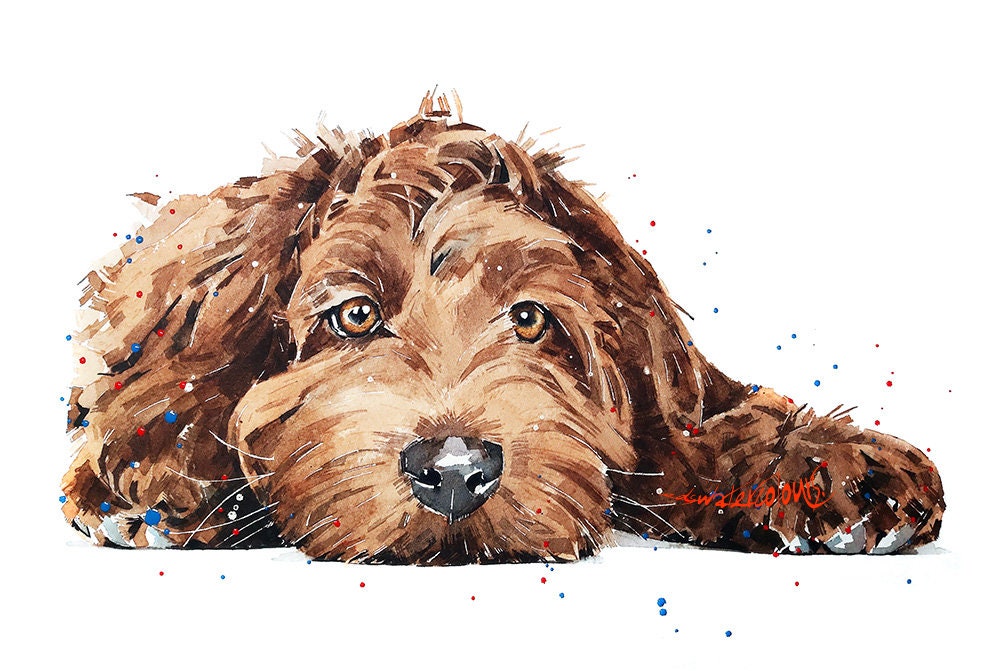 Labradoodle Passed Out - Watercolour Print.Labradoodle art,Labradoodle print,Labradoodle watercolour,Labradoodle wall art