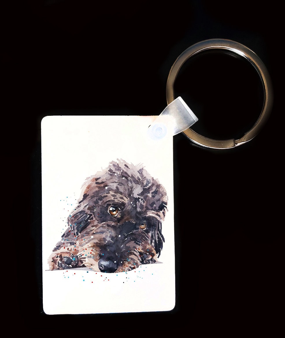 Wirehaired Dachshund Keyring | Dog Gift | Multiple Designs | EdsWatercolours