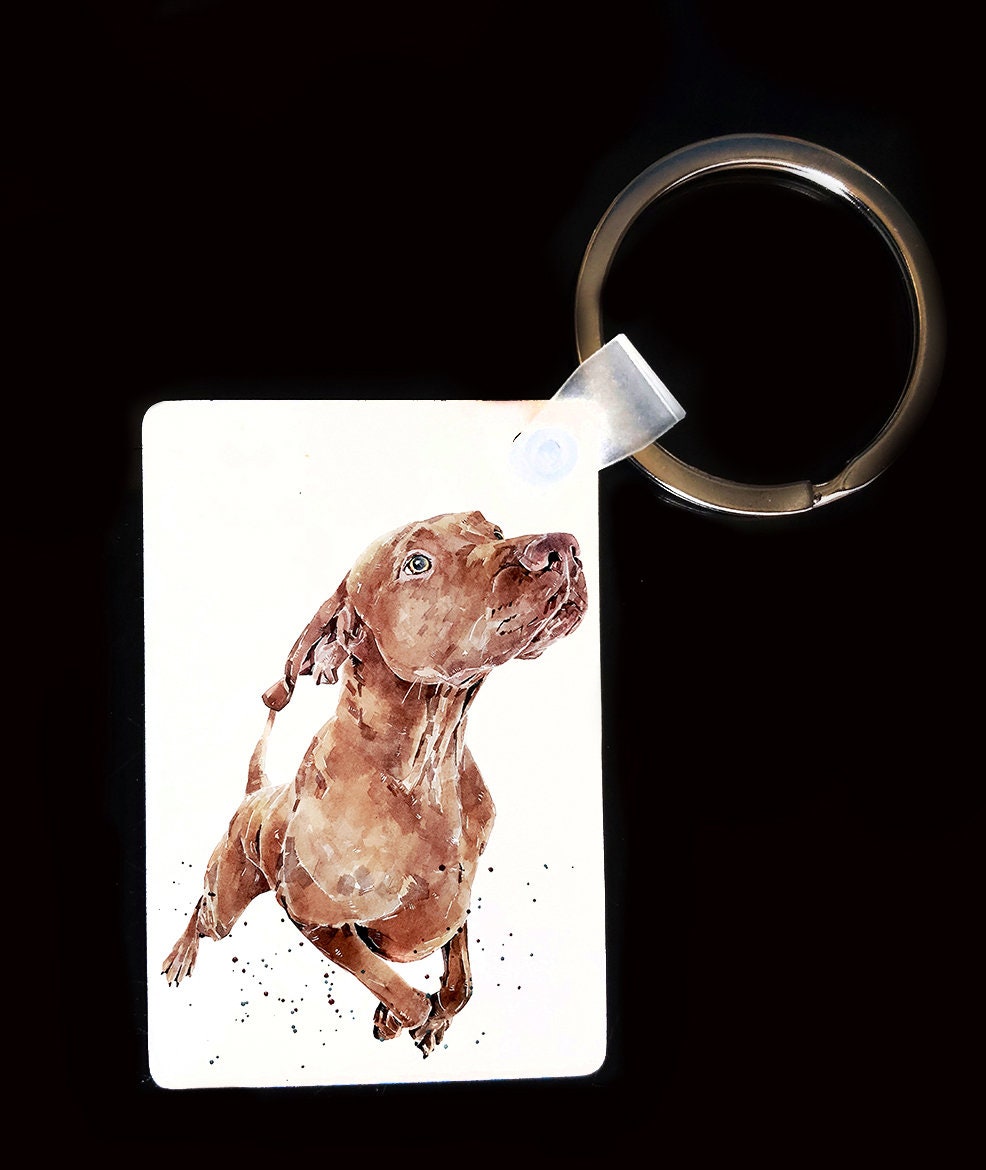 Hungarian Vizsla Keyring | Dog Gift | Multiple Designs | EdsWatercolours