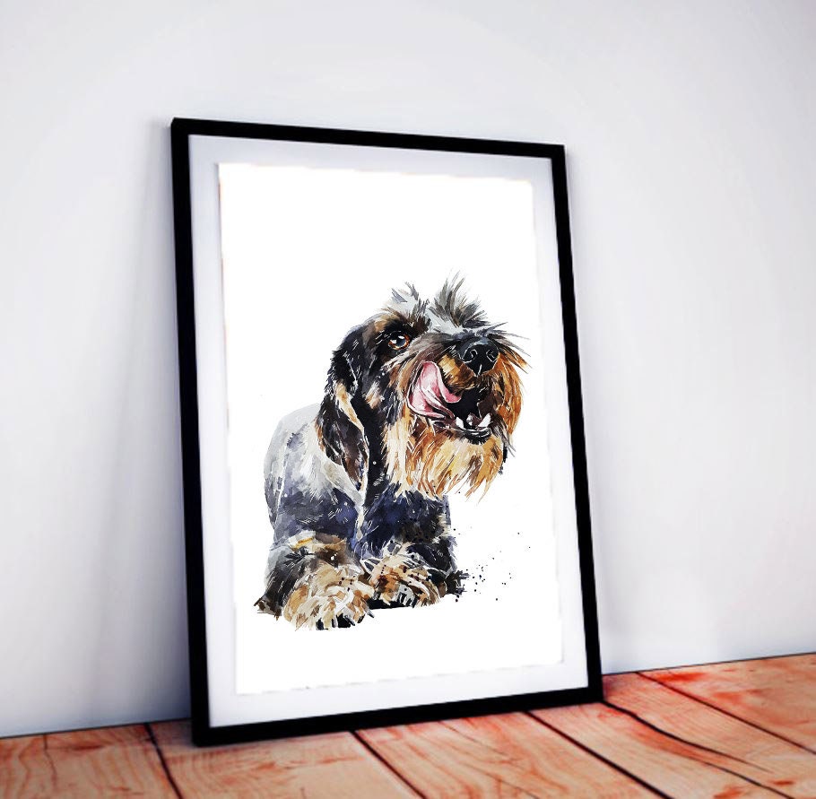 Wirehaired Dachshund 2" Print Watercolour.Wire Doxie, Wire Doxie Art, Wirehaired Dachshund Print,Wirehaired Dachshund wall hanging